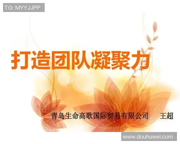 杭州排球队选拔赛点评团队协作展现出色凝聚力与默契配合